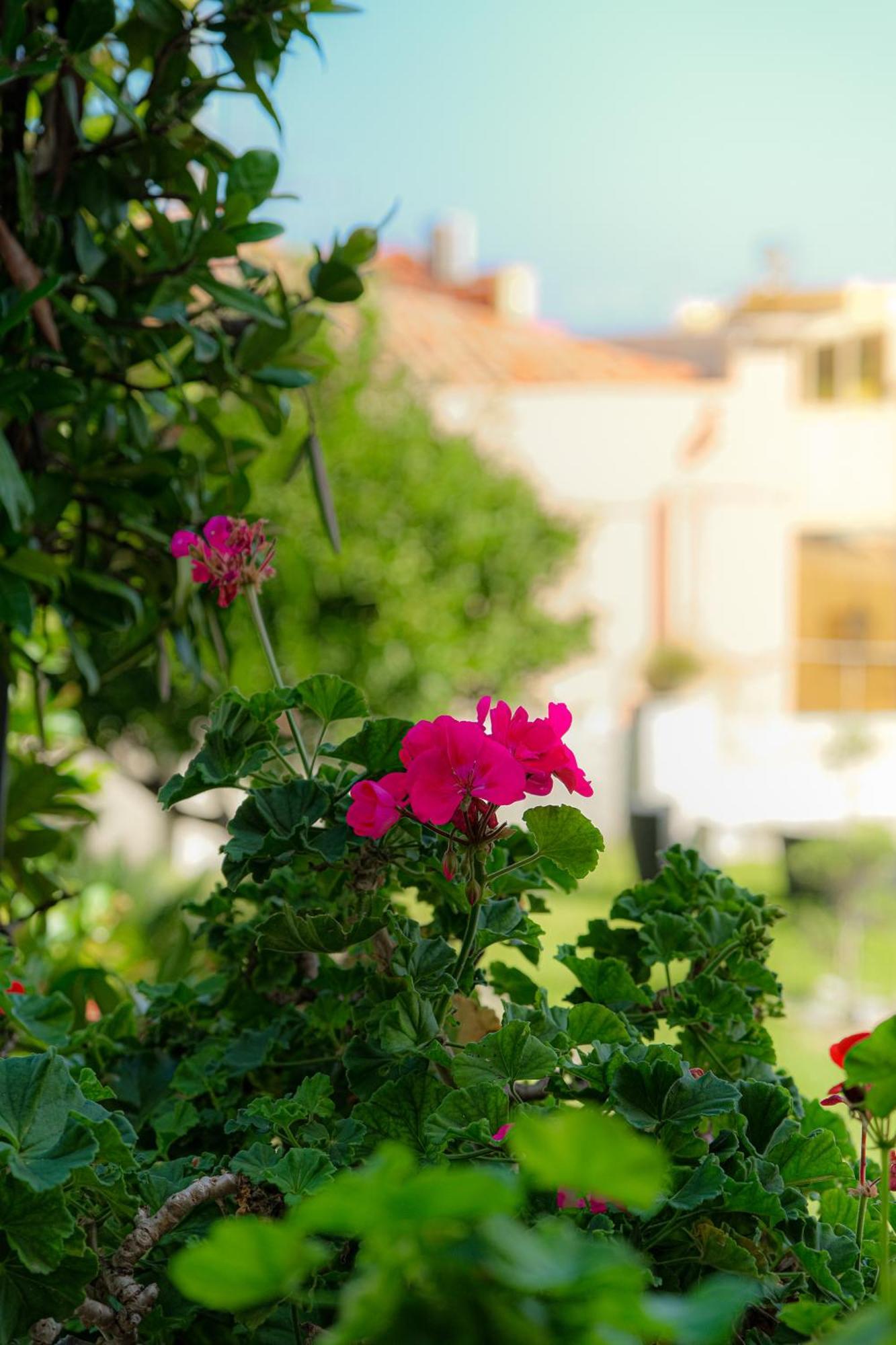 L'Antico Borgo Bed & Breakfast Milazzo Exterior photo